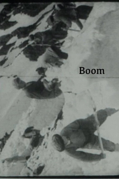 Movie poster for Boom (1969)