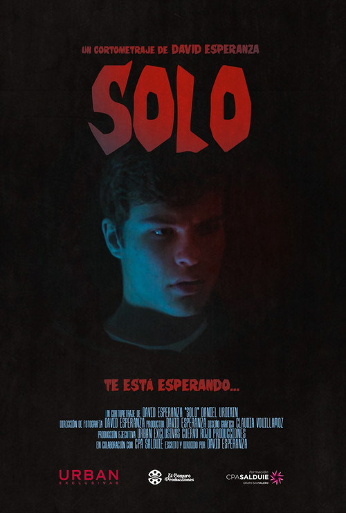 Movie poster for Solo
