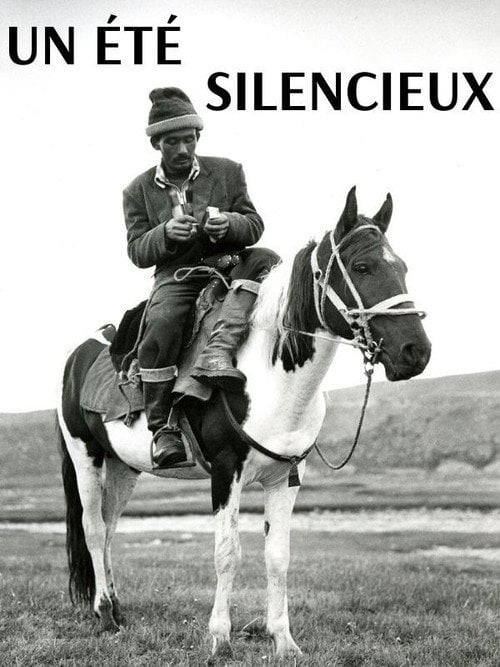 Movie poster for A Silent Summer (2006)