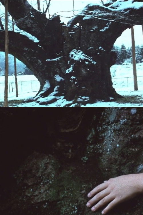 Movie poster for The Cherry Tree with Gray Blossoms (1977)