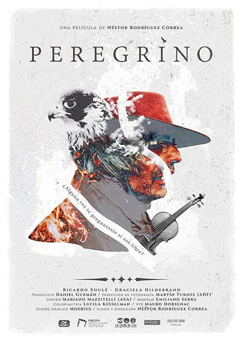 Movie poster for Peregrino (2020)