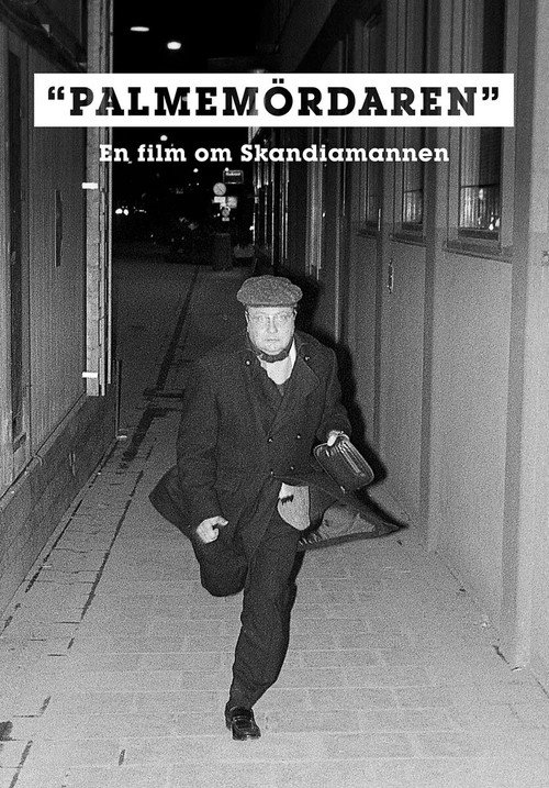 Palmemördaren poster
