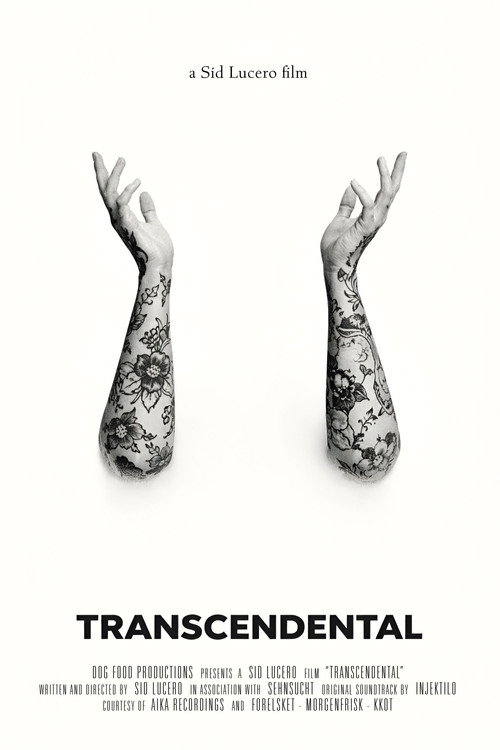 Movie poster for Transcendental