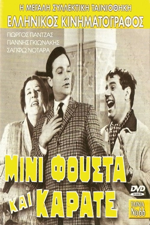 Movie poster for Mini Skirt and Karate (1967)