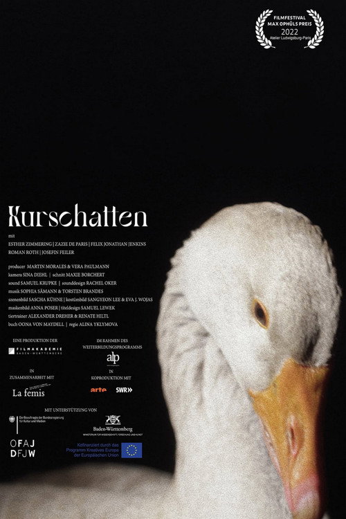 Movie poster for Kurschatten (2021)