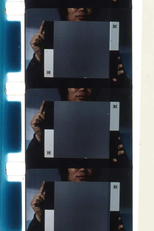 Movie poster for Paradoxe sur le comédien (2013)