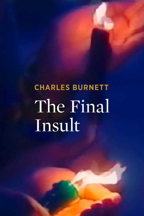 Movie poster for The Final Insult (1997)