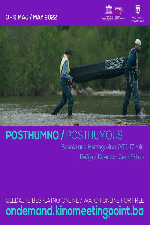 Movie poster for Posthumous (2011)