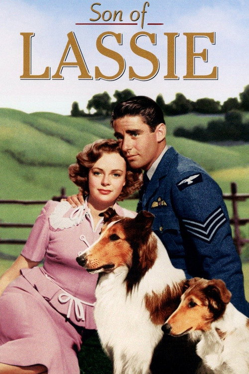 Movie poster for Son of Lassie (1945)