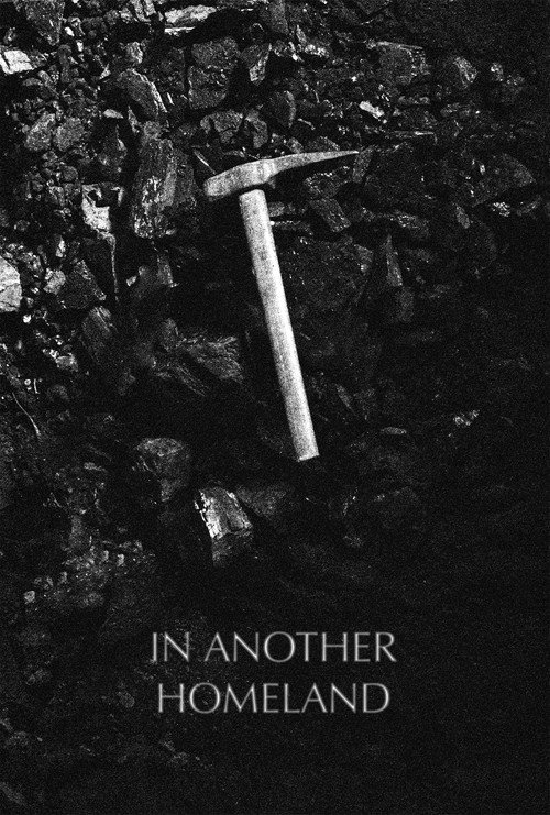 Movie poster for In Another Homeland (2026)