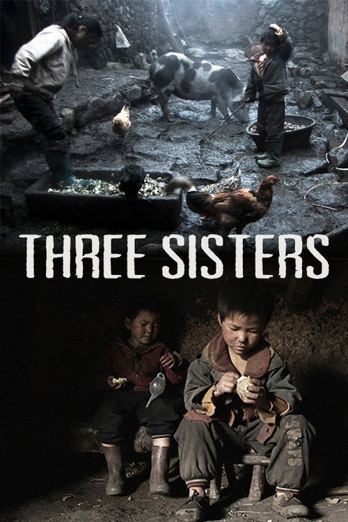 Movie poster for Three Sisters (2012)