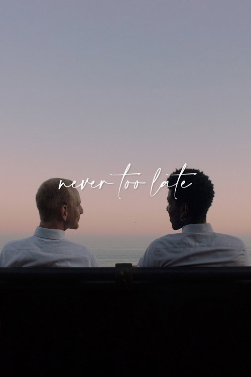 Movie poster for Never Too Late (2021)