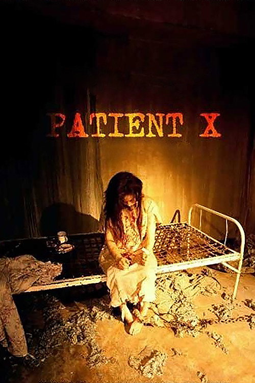 Movie poster for Patient X (2009)