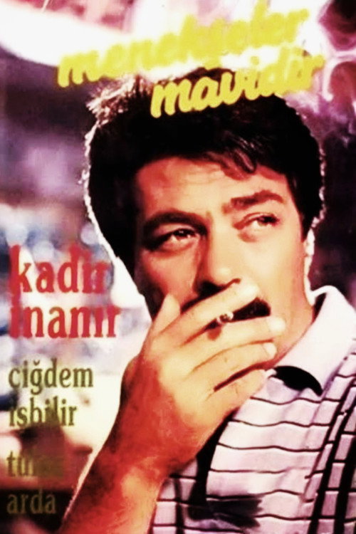 Movie poster for Menekşeler Mavidir (1987)
