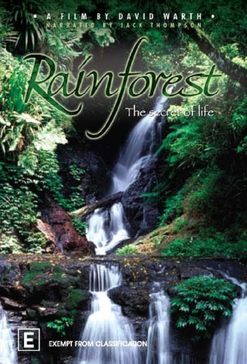 Movie poster for Rainforest: The Secret Of Life (2009)
