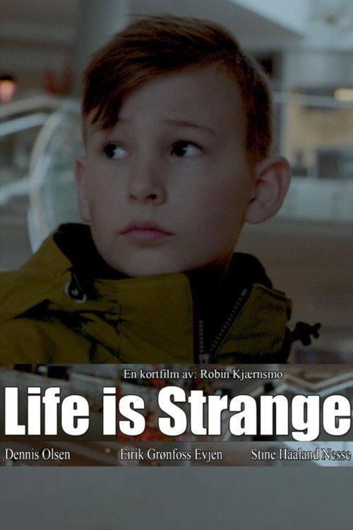 Movie poster for Life is Strange (2018)