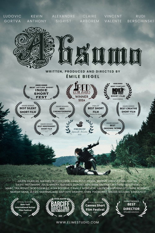 Movie poster for Absumo