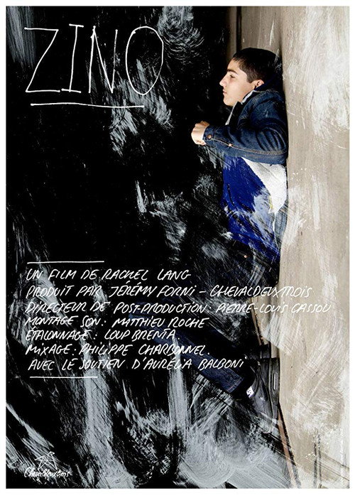 Movie poster for Zino (2013)