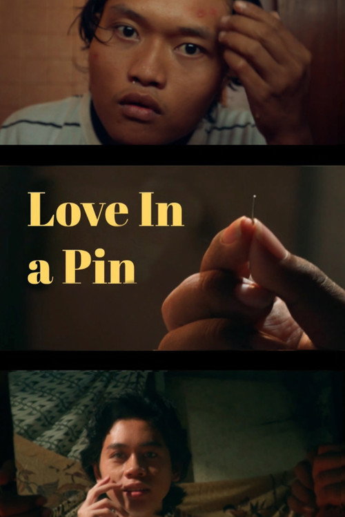 Movie poster for Love In A Pin (2025)