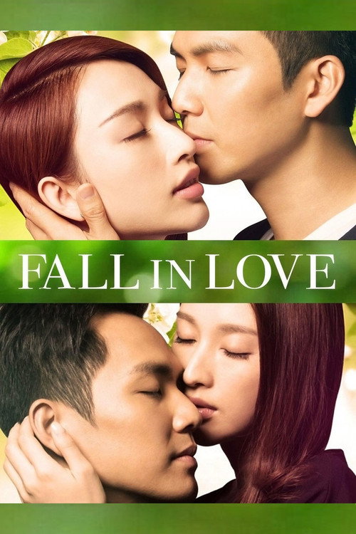 Movie poster for Fall in Love (2013)
