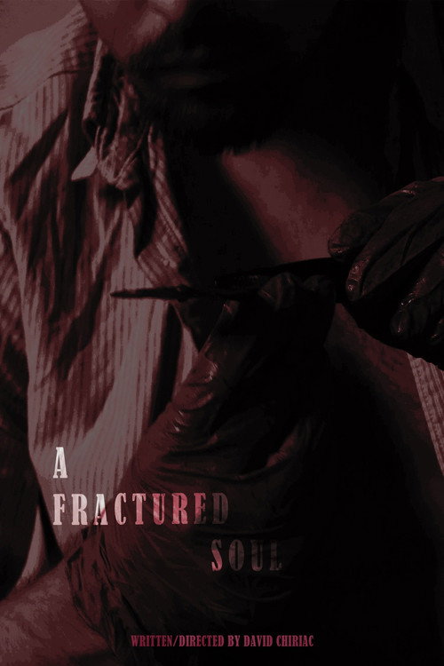 Movie poster for A Fractured Soul (2025)