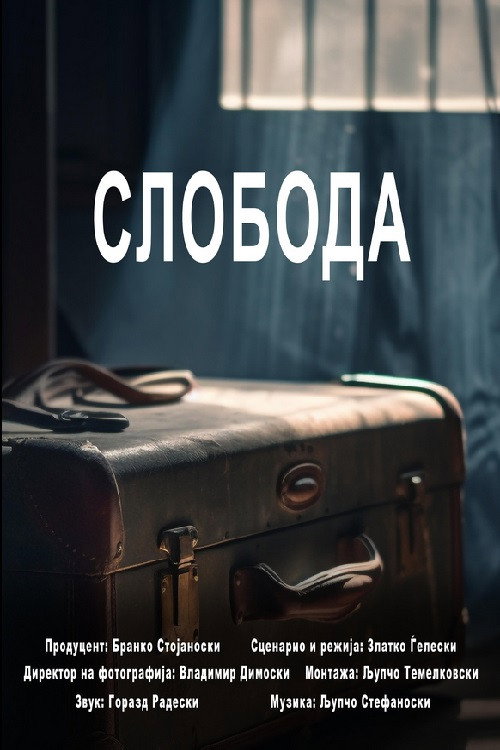 Movie poster for Freedom (2023)