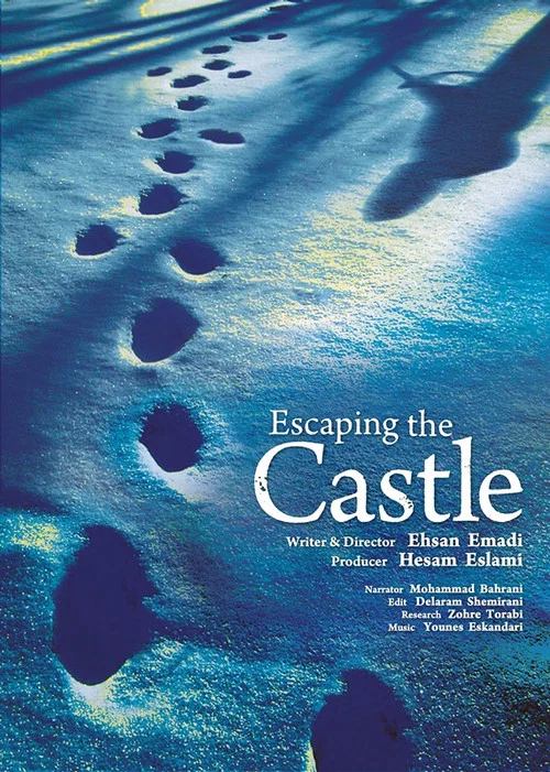 Movie poster for Escaping the Castle (2023)