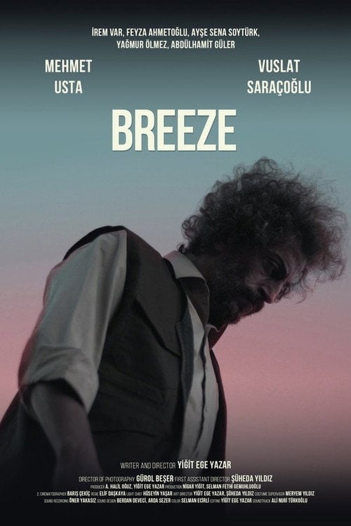 Movie poster for Breeze (2020)