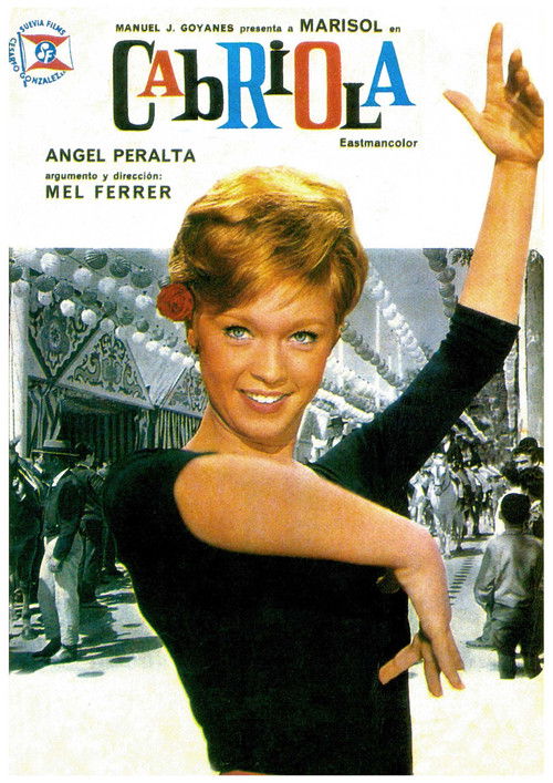 Movie poster for Every Day Is a Holiday (1965)