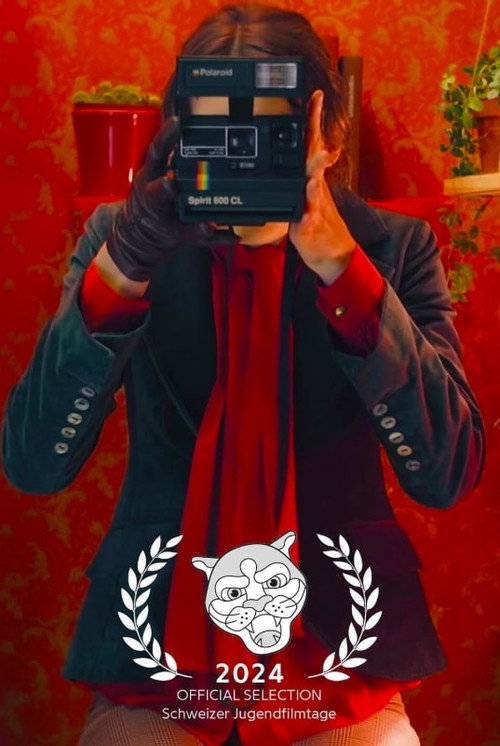 Movie poster for Diary of a Photobooth