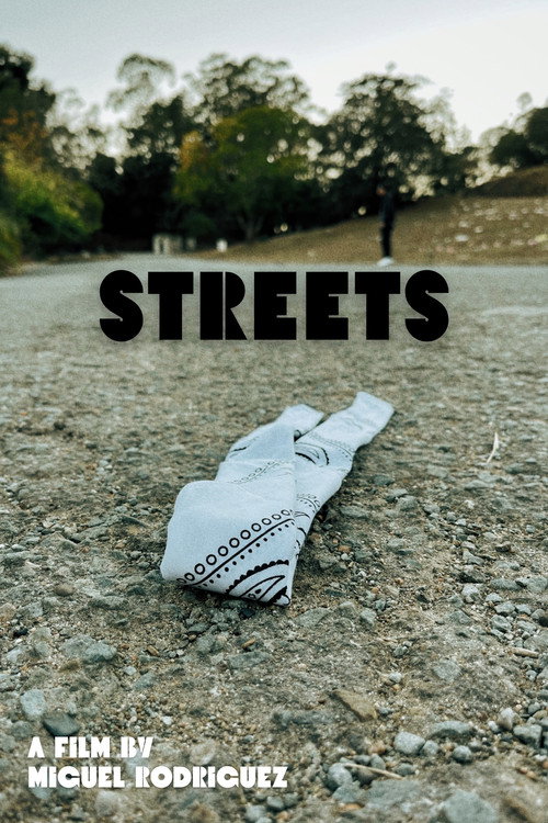 Movie poster for Streets (2023)