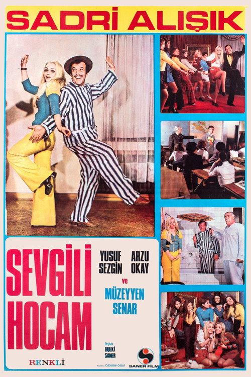 Movie poster for Sevgili Hocam (1972)