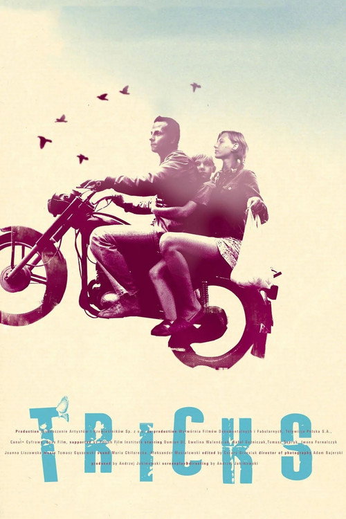 Movie poster for Tricks (2007)