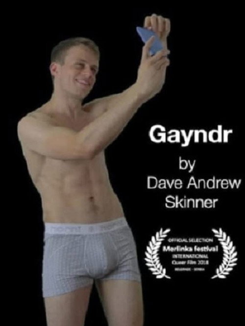 Movie poster for Gayndr II (2017)
