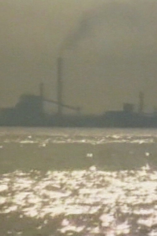 Movie poster for Porto Marghera, il lavoro contro la vita (1979)
