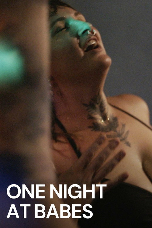 Movie poster for One Night at Babes (2024)