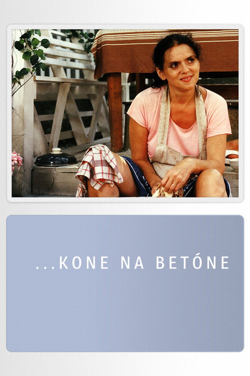 Movie poster for ...kone na betóne (1995)
