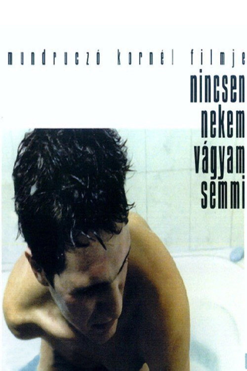 Movie poster for This I Wish and Nothing More (2000)