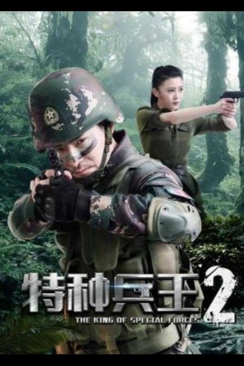 Movie poster for Special Forces King 2: Mission Choice (2017)
