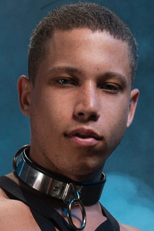 Photo of Tony Shore, Acting