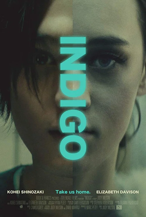 Movie poster for Indigo (2016)
