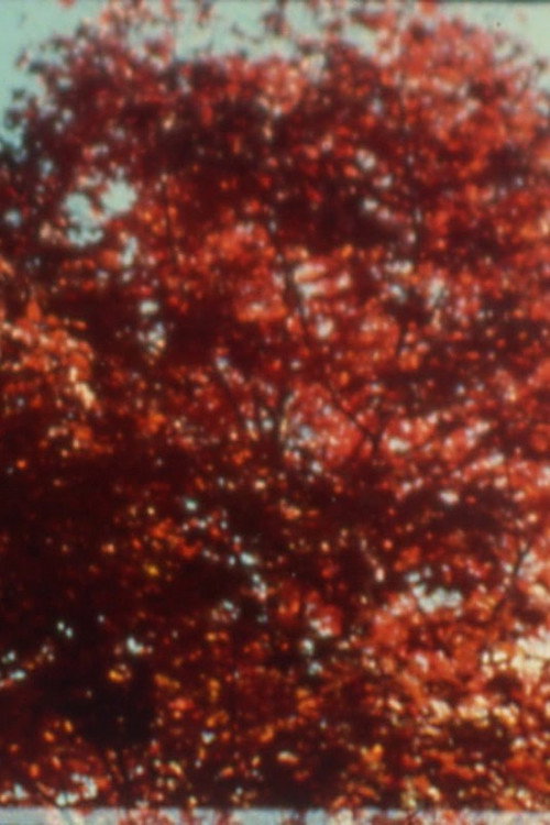Movie poster for Burning (2002)