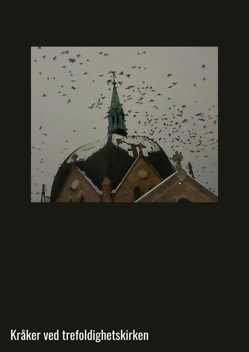 Movie poster for Crows at Trinity Church (2026)