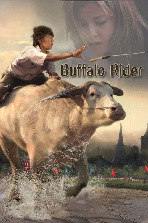 Movie poster for Buffalo Rider (2015)