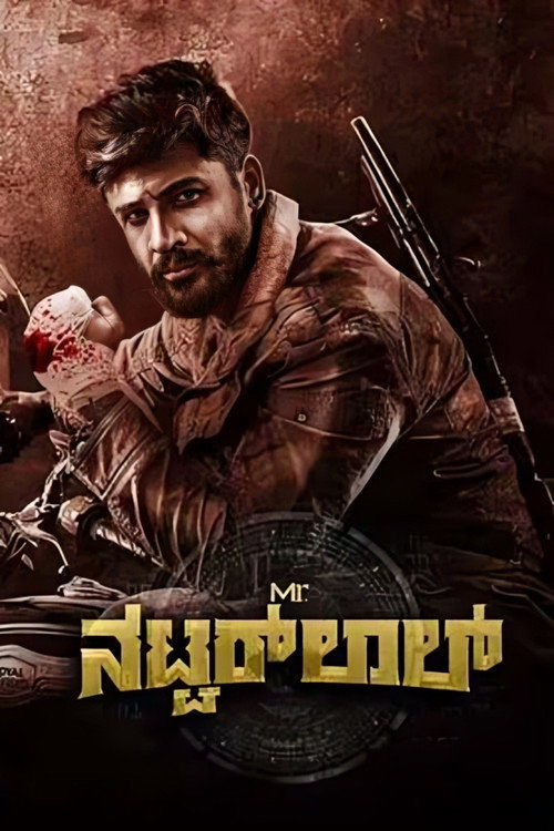 Movie poster for Mr. Natwarlal (2024)