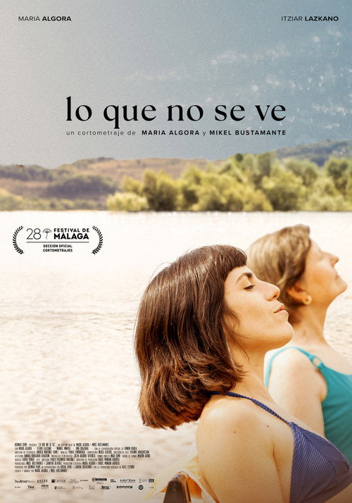 Movie poster for Lo que no se ve (2025)