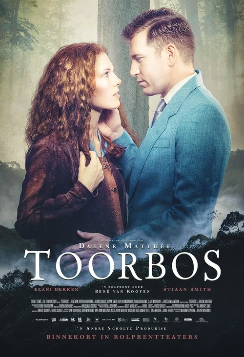 Movie poster for Toorbos (2019)
