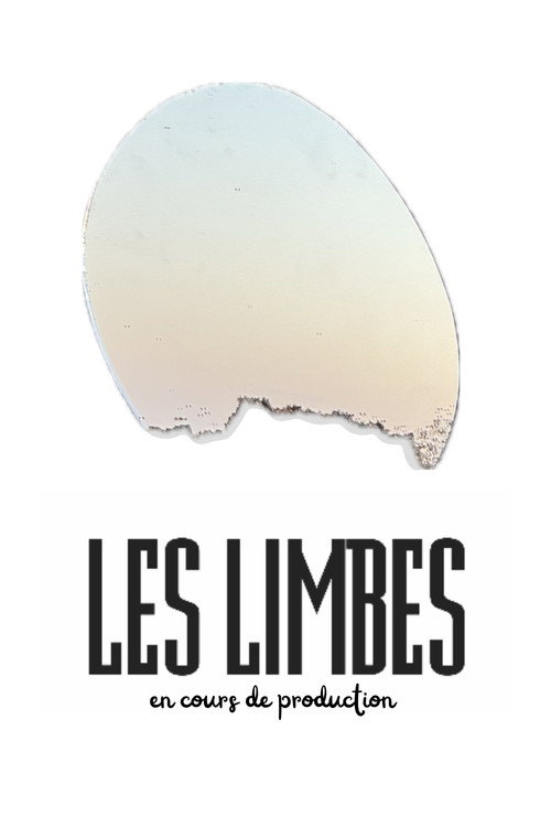 Movie poster for In Limbo