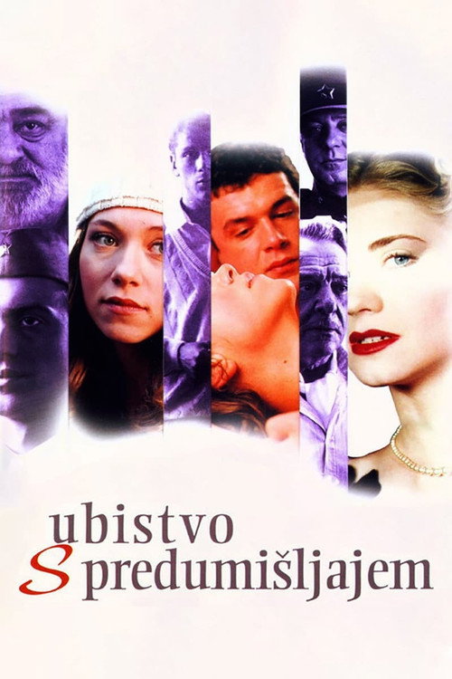 Movie poster for Premeditated Murder (1995)