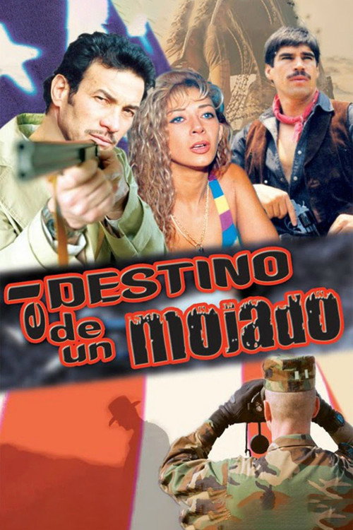 Movie poster for El destino de un mojado (1998)